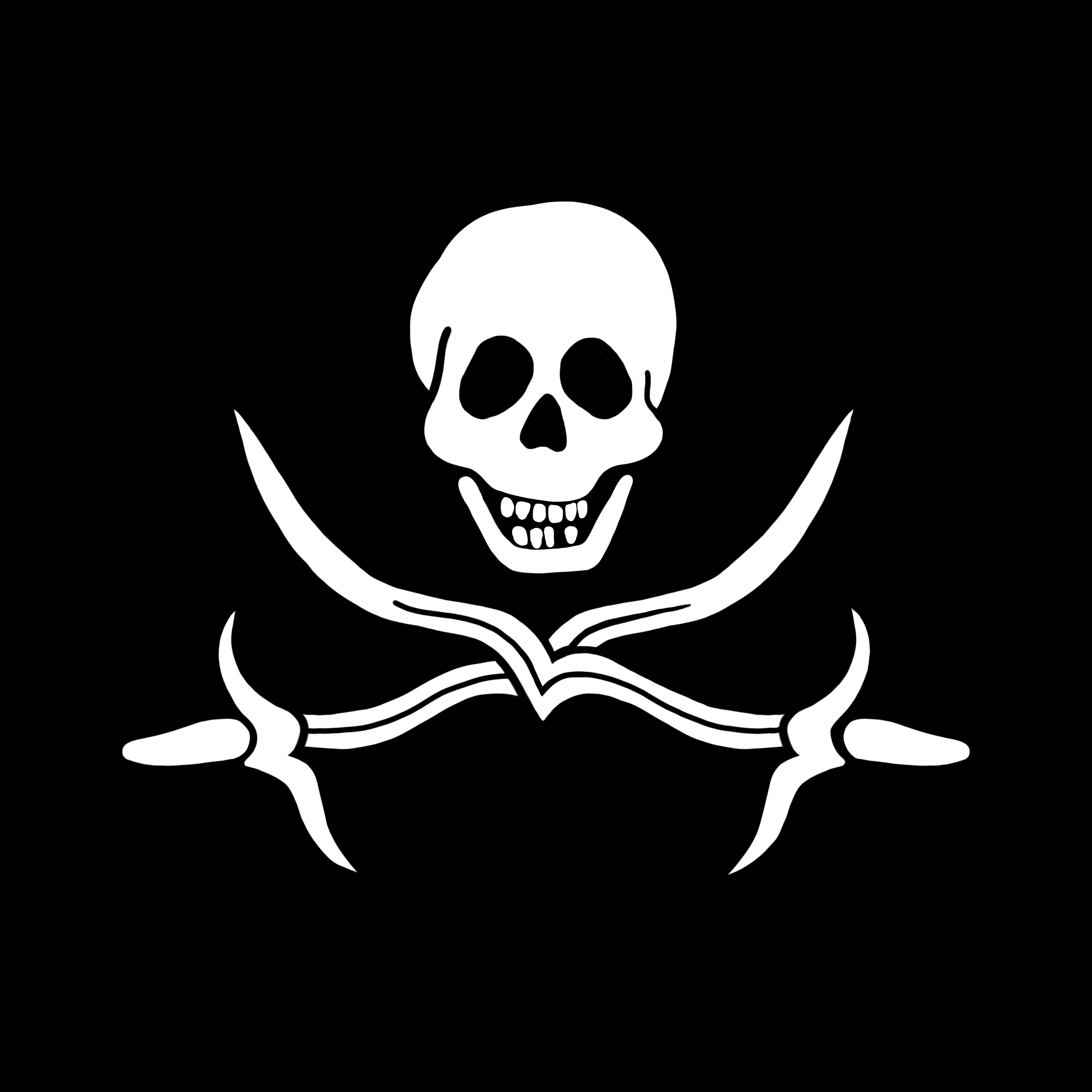 pirates code logo